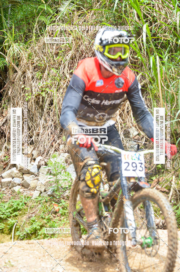 Buy your photos of the eventDHI JASC on Fotop