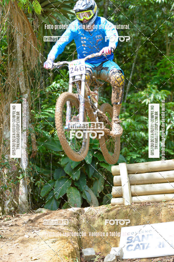 Buy your photos of the eventDHI JASC on Fotop