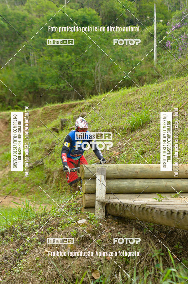 Buy your photos of the eventDHI JASC on Fotop