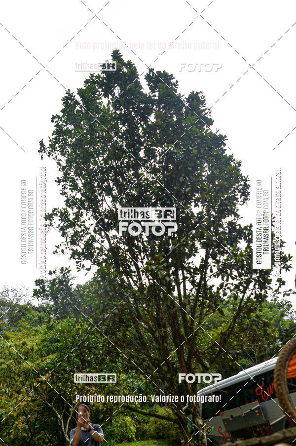 Buy your photos of the eventDHI JASC on Fotop