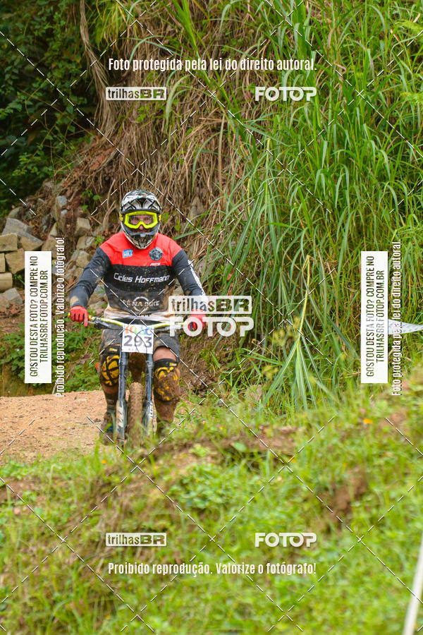 Buy your photos of the eventDHI JASC on Fotop