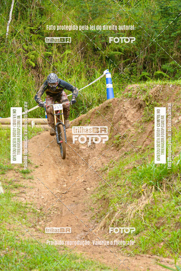 Buy your photos of the eventDHI JASC on Fotop