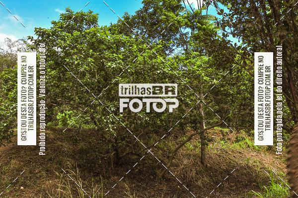 Compra tus fotos del eventoDHI JASC En Fotop