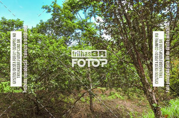 Buy your photos of the eventDHI JASC on Fotop