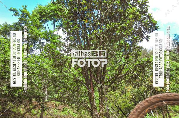 Buy your photos of the eventDHI JASC on Fotop