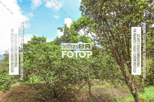 Buy your photos of the eventDHI JASC on Fotop