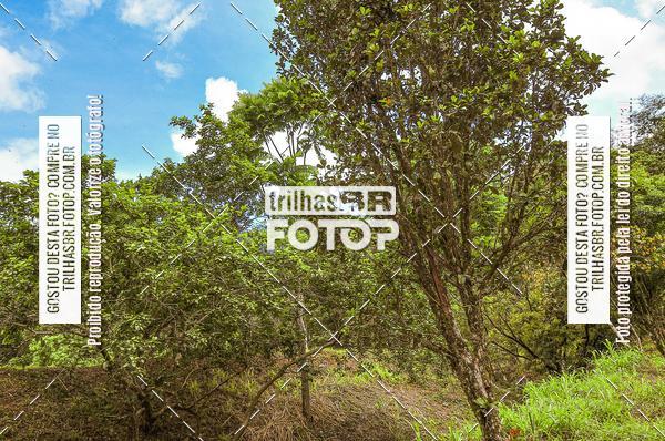 Buy your photos of the eventDHI JASC on Fotop