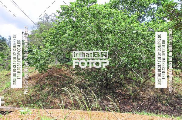 Compra tus fotos del eventoDHI JASC En Fotop