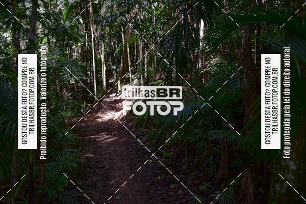 Buy your photos of the eventDHI JASC on Fotop