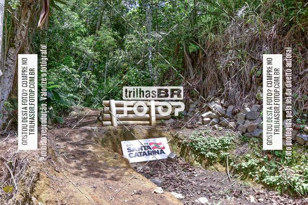 Buy your photos of the eventDHI JASC on Fotop