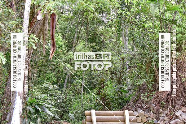 Buy your photos of the eventDHI JASC on Fotop