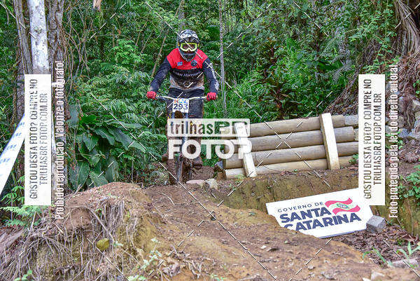 Buy your photos of the eventDHI JASC on Fotop