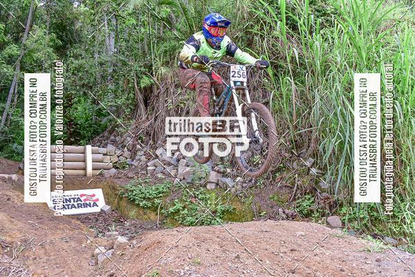 Buy your photos of the eventDHI JASC on Fotop