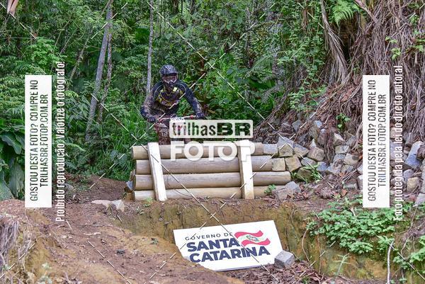 Buy your photos of the eventDHI JASC on Fotop