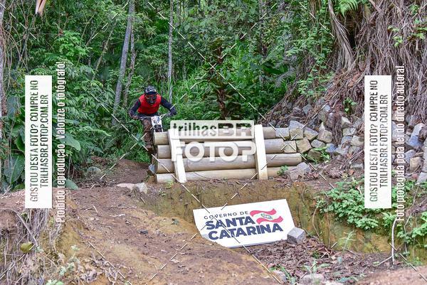 Buy your photos of the eventDHI JASC on Fotop