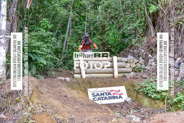 Buy your photos of the eventDHI JASC on Fotop