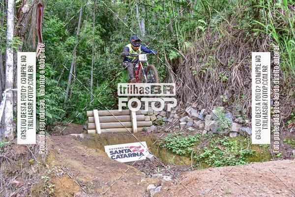 Buy your photos of the eventDHI JASC on Fotop