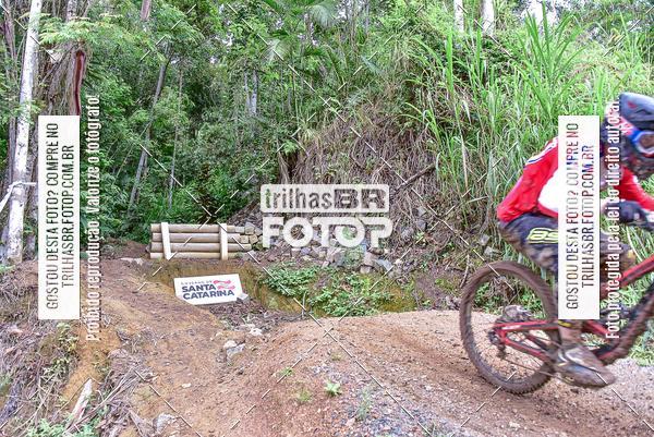 Buy your photos of the eventDHI JASC on Fotop