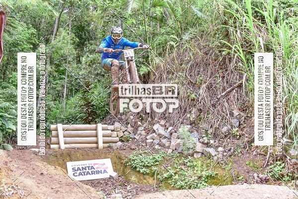 Buy your photos of the eventDHI JASC on Fotop