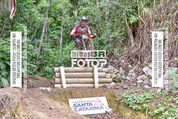 Buy your photos of the eventDHI JASC on Fotop