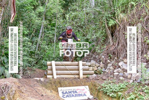 Buy your photos of the eventDHI JASC on Fotop