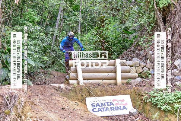 Buy your photos of the eventDHI JASC on Fotop