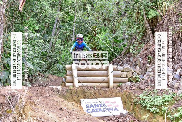 Buy your photos of the eventDHI JASC on Fotop