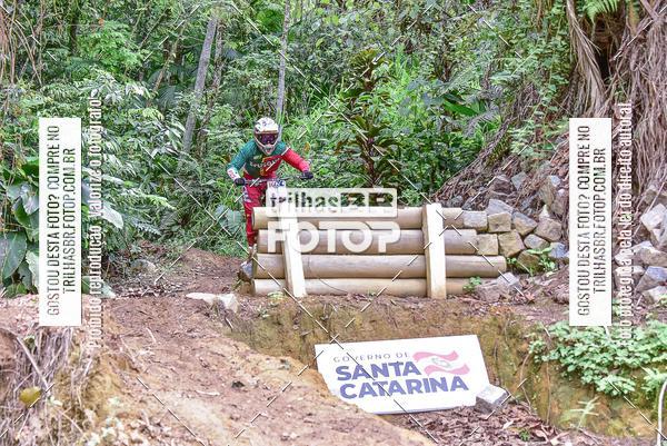 Buy your photos of the eventDHI JASC on Fotop