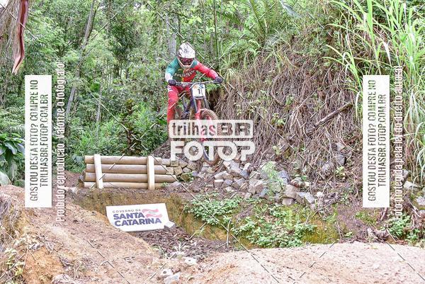 Buy your photos of the eventDHI JASC on Fotop