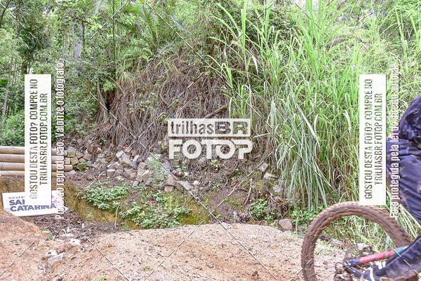 Buy your photos of the eventDHI JASC on Fotop