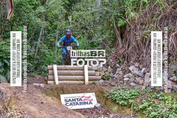 Buy your photos of the eventDHI JASC on Fotop