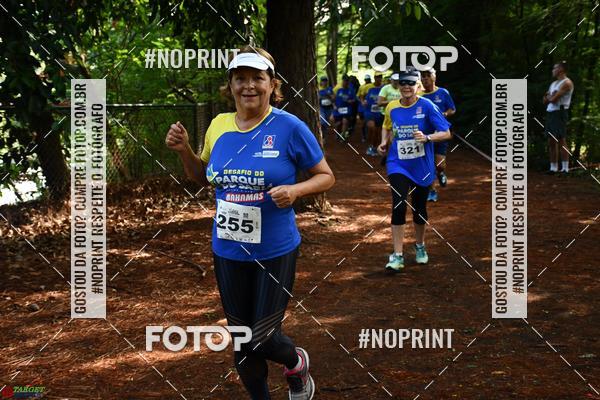 Buy your photos of the eventDesafio do Parque Sabi / Bahamas - 3 Etapa on Fotop