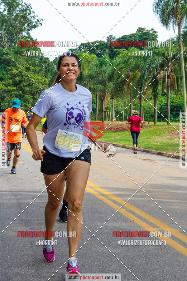 Buy your photos of the event6� CORRIDA PRINCESA DA COLINA  on Fotop