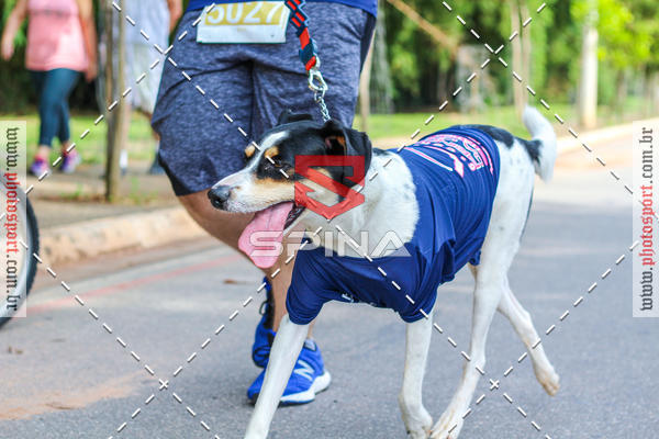 Buy your photos of the event6� CORRIDA PRINCESA DA COLINA  on Fotop