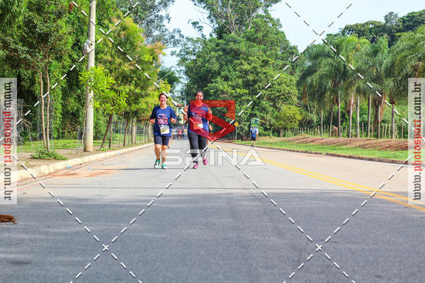 Buy your photos of the event6 CORRIDA PRINCESA DA COLINA  on Fotop