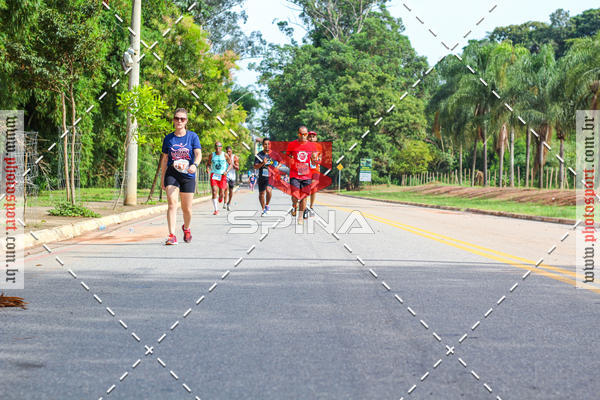 Buy your photos of the event6 CORRIDA PRINCESA DA COLINA  on Fotop