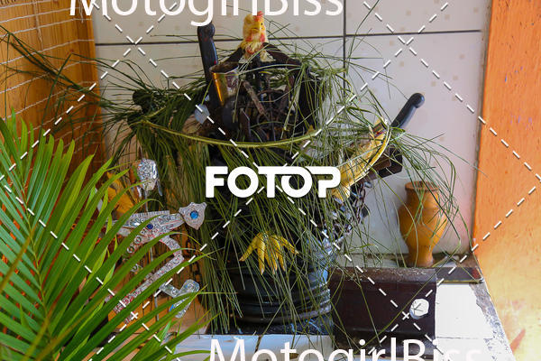 Buy your photos of the eventIl As Od Oflomi on Fotop