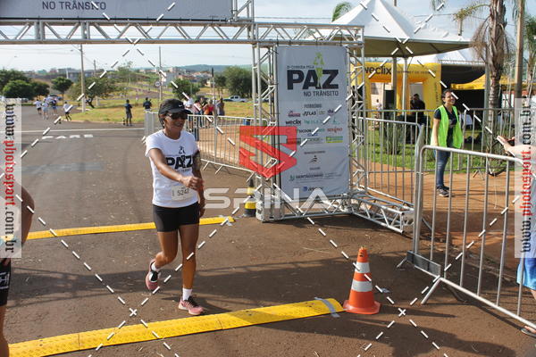 Buy your photos of the event5 Corrida pela paz no trnsito on Fotop