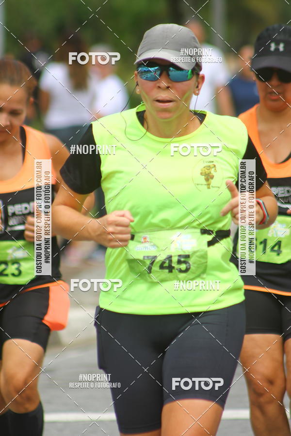 Buy your photos of the event34 CAMPEONATO SANTISTA DE PEDESTRIANISMO - 5 Etapa on Fotop