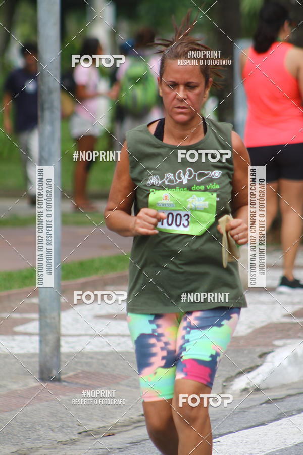 Buy your photos of the event34 CAMPEONATO SANTISTA DE PEDESTRIANISMO - 5 Etapa on Fotop