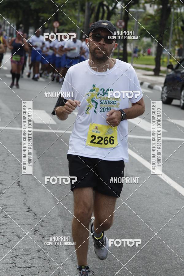 Buy your photos of the event34 CAMPEONATO SANTISTA DE PEDESTRIANISMO - 5 Etapa on Fotop