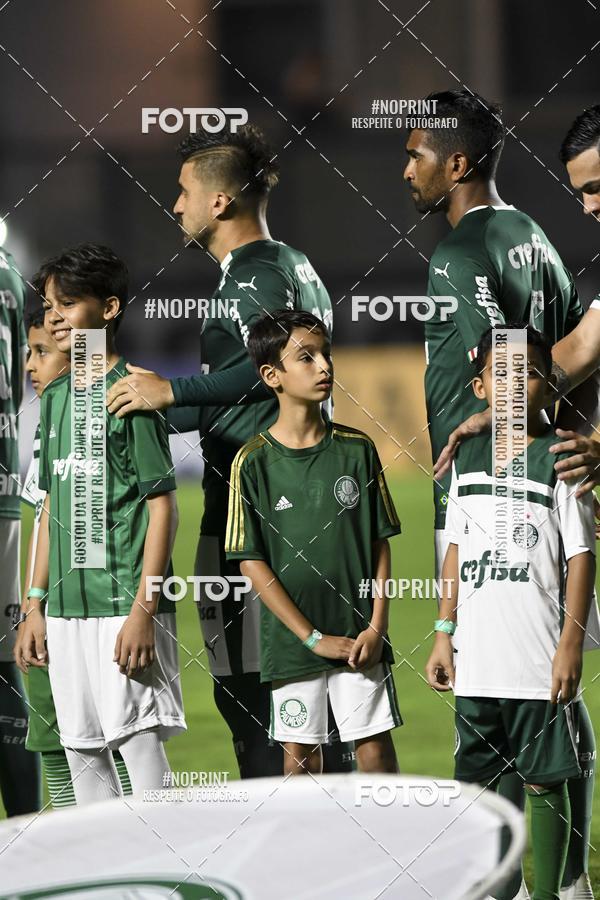 Compre as suas fotos do eventoVasco x Palmeiras  So Janurio    - 06/11/2019 no Fotop