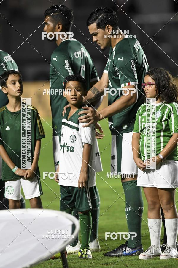 Compre as suas fotos do eventoVasco x Palmeiras  So Janurio    - 06/11/2019 no Fotop