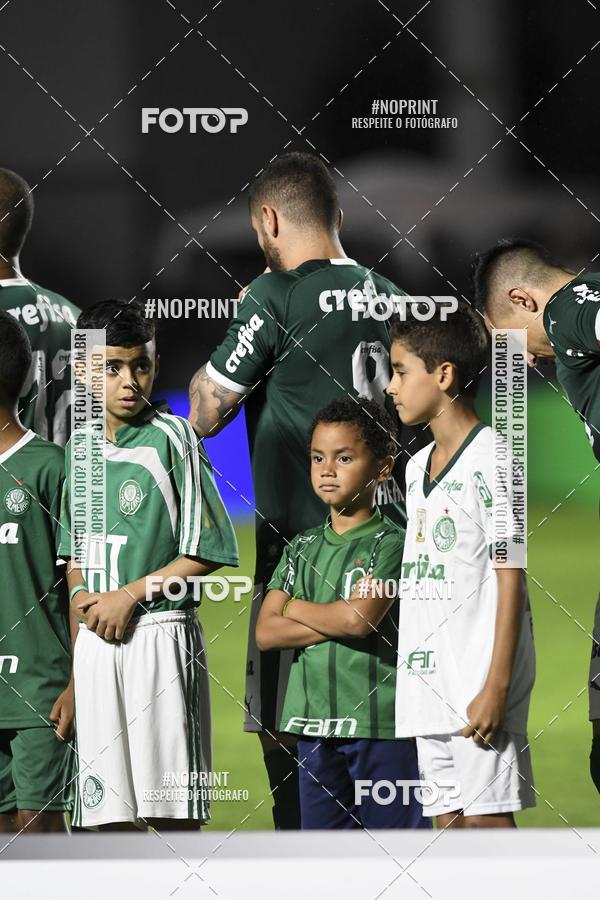 Compre as suas fotos do eventoVasco x Palmeiras  So Janurio    - 06/11/2019 no Fotop