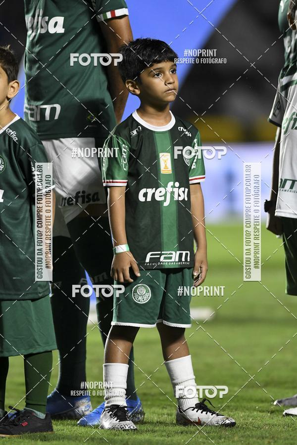 Compre as suas fotos do eventoVasco x Palmeiras  So Janurio    - 06/11/2019 no Fotop