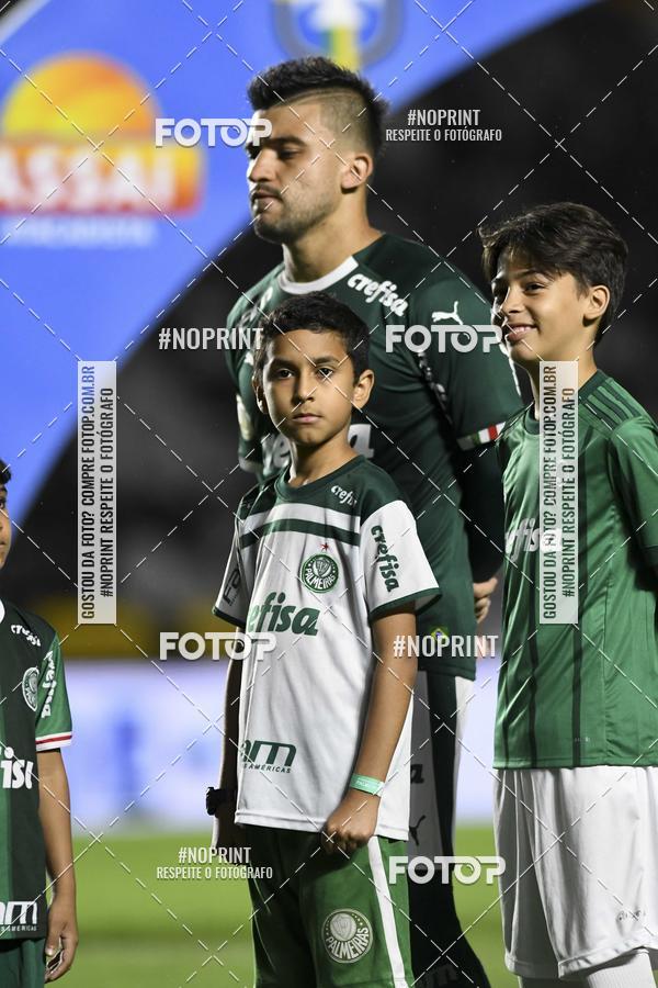 Compre as suas fotos do eventoVasco x Palmeiras  So Janurio    - 06/11/2019 no Fotop