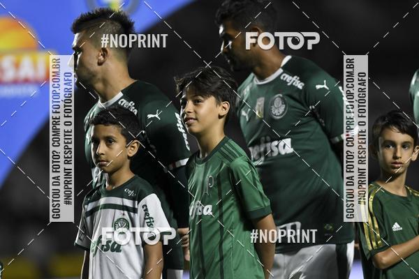 Compre as suas fotos do eventoVasco x Palmeiras  So Janurio    - 06/11/2019 no Fotop