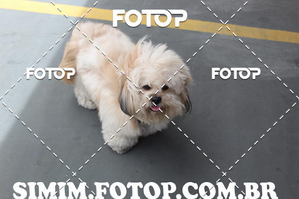 Buy your photos of the eventEXPOFIT - 2 EDIO - SBADO -DOMINGO on Fotop
