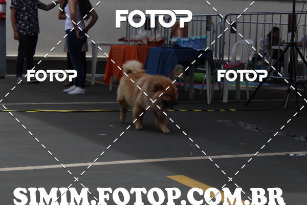 Buy your photos of the eventEXPOFIT - 2 EDIO - SBADO -DOMINGO on Fotop