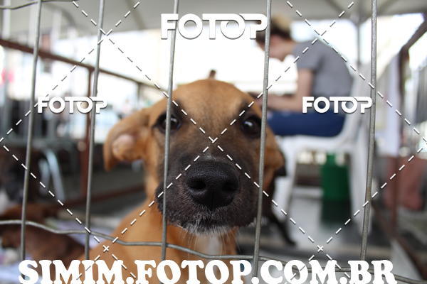 Buy your photos of the eventEXPOFIT - 2 EDIO - SBADO -DOMINGO on Fotop